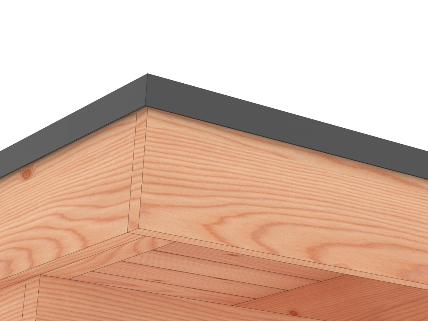 Daktrimset zwart | 600 x 300 cm - Afbeelding 1